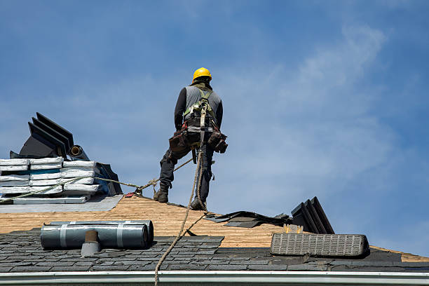 Professional Flat Roof Repair technician working in Dexter, MN